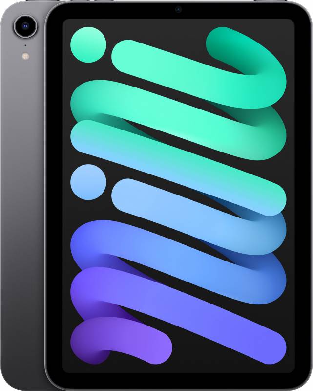 картинка Apple iPad mini 8,3" (2021) Wi-Fi 256 ГБ, серый космос от маркетплейса TEMA.shop