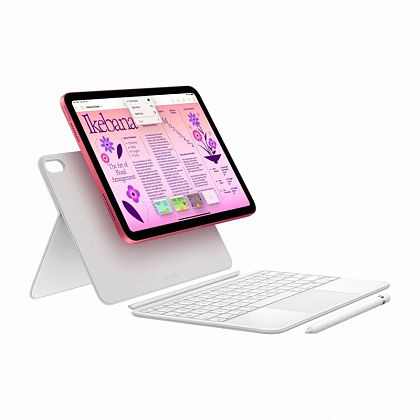 картинка Apple iPad 10,9" (2022) Wi-Fi + Cellular 256 ГБ, розовый от маркетплейса TEMA.shop 6