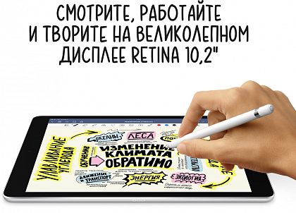 картинка Apple iPad 10,2" (2021) Wi-Fi 256 ГБ, серебристый от маркетплейса TEMA.shop 15