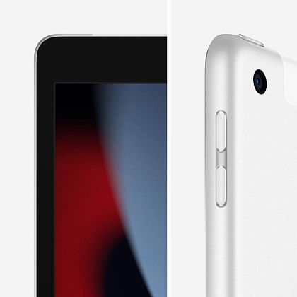 картинка Apple iPad 10,2" (2021) Wi-Fi + Cellular 256 ГБ, серебристый от маркетплейса TEMA.shop 4