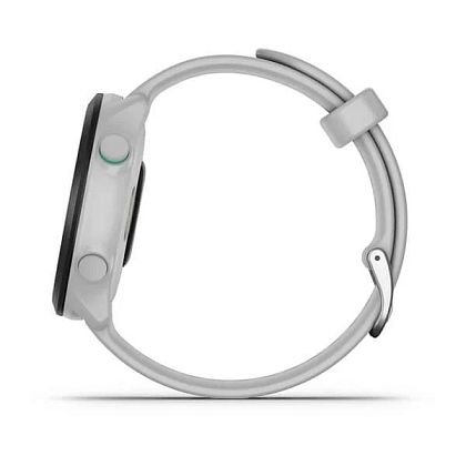 картинка Garmin Forerunner 55, 42 мм, цвет корпуса белый от маркетплейса TEMA.shop 5