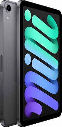 картинка Apple iPad mini 8,3" (2021) Wi-Fi + Cellular 64 ГБ, серый космос от маркетплейса TEMA.shop 2