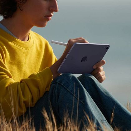 картинка Apple iPad mini 8,3" (2021) Wi-Fi 256 ГБ, сияющая звезда от маркетплейса TEMA.shop 6