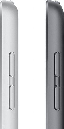 картинка Apple iPad 10,2" (2021) Wi-Fi 256 ГБ, серебристый от маркетплейса TEMA.shop 10
