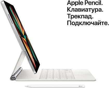 картинка Apple iPad Pro 11" (2021) Wi-Fi 2 ТБ, серебристый от маркетплейса TEMA.shop 8